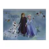 SET DESEN GENTUȚĂ DE CREATIE FROZEN