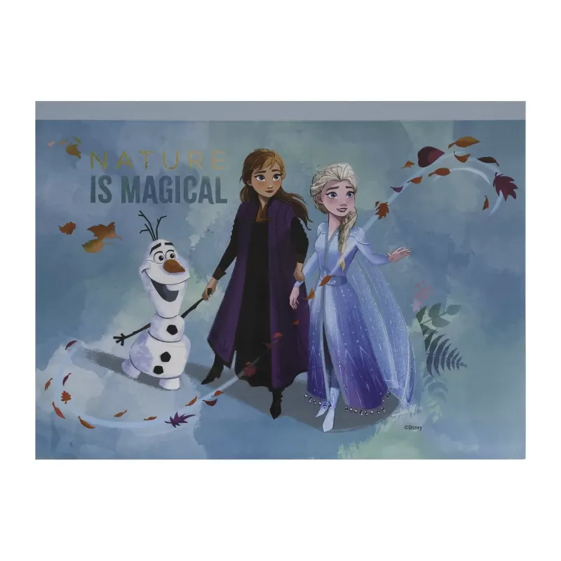 SET DESEN GENTUȚĂ DE CREATIE FROZEN