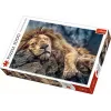 PUZZLE TREFL 1000 LEU DORMIND