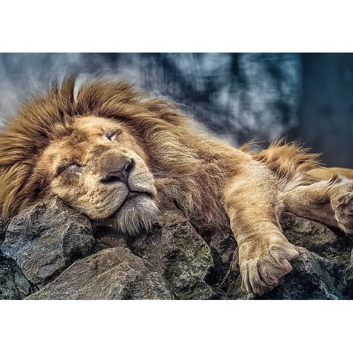 PUZZLE TREFL 1000 LEU DORMIND