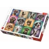 PUZZLE TREFL 1000 PORTRET CĂȚELUSI SIMPATICI