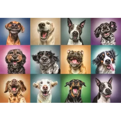 PUZZLE TREFL 1000 PORTRET CĂȚELUSI SIMPATICI