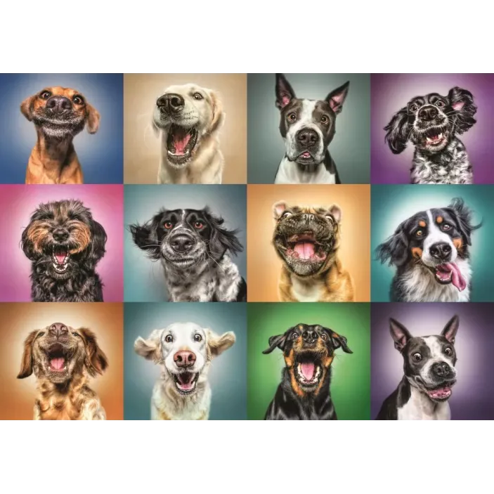 PUZZLE TREFL 1000 PORTRET CĂȚELUSI SIMPATICI