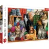 PUZZLE TREFL 1000 INTALNIREA PISICUTELOR