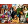 PUZZLE TREFL 1000 INTALNIREA PISICUTELOR