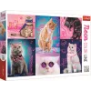 PUZZLE TREFL 1000 SUPER PISICI NEON