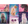 PUZZLE TREFL 1000 SUPER PISICI NEON