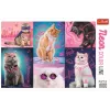 PUZZLE TREFL 1000 SUPER PISICI NEON