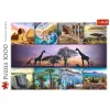 PUZZLE TREFL 1000 AFRICA