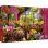 PUZZLE TREFL 1000 PREMIUM PLUS TEA TIME PREGATIRE PENTRU PRIMAVARA