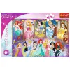 PUZZLE 160 PORTRETELE PRINTESELOR