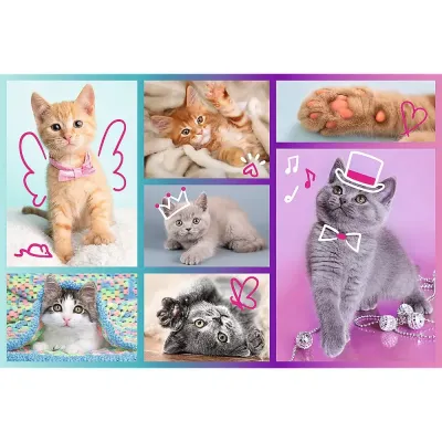 PUZZLE TREFL 60 PISICUTE DRAGUTE