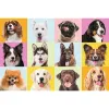PUZZLE TREFL 60 CATEI DRAGUTI