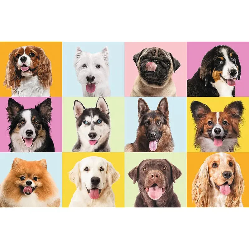 PUZZLE TREFL 60 CATEI DRAGUTI