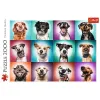 PUZZLE TREFL 2000 CĂȚELUSII AMUZANTI