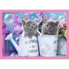 PUZZLE TREFL 4IN1 PISICUTELE DRAGALASE