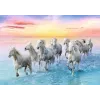 PUZZLE TREFL 500 CAI ALBI GALOPAND