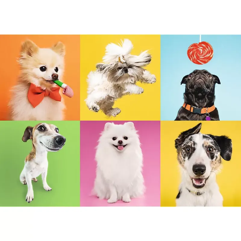 PUZZLE TREFL 500 CĂȚELUSI