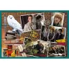 PUZZLE TREFL 10IN1 HARRY POTTER IN LUMEA LUI HARRY POTTER