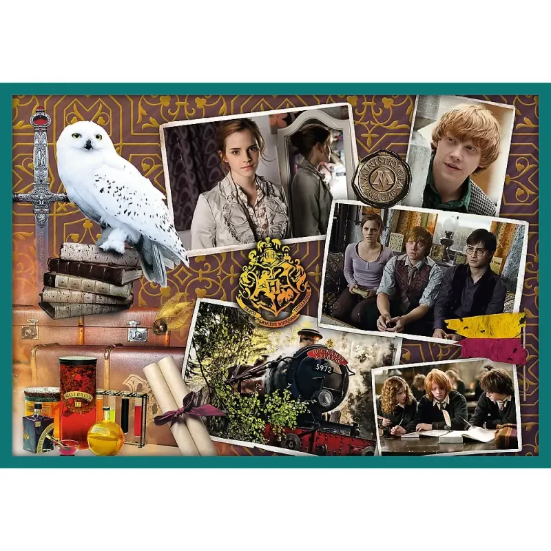 PUZZLE TREFL 10IN1 HARRY POTTER IN LUMEA LUI HARRY POTTER