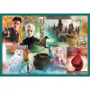 PUZZLE TREFL 10IN1 HARRY POTTER IN LUMEA LUI HARRY POTTER