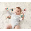 HAPE SET 5 JUCARII ZORNĂITOARE