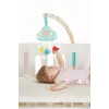 HAPE NOR MUZICĂL CU LUMINI