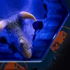 WOW! PODS - DINO TRICERATROPS ȘI CU EFECTE SONORE
