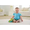 FISHER PRICE JUCĂRIE APASA ȘI MERGI TESTOASA