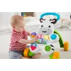 ANTEPREMERGATOR ZEBRA FISHER PRICE