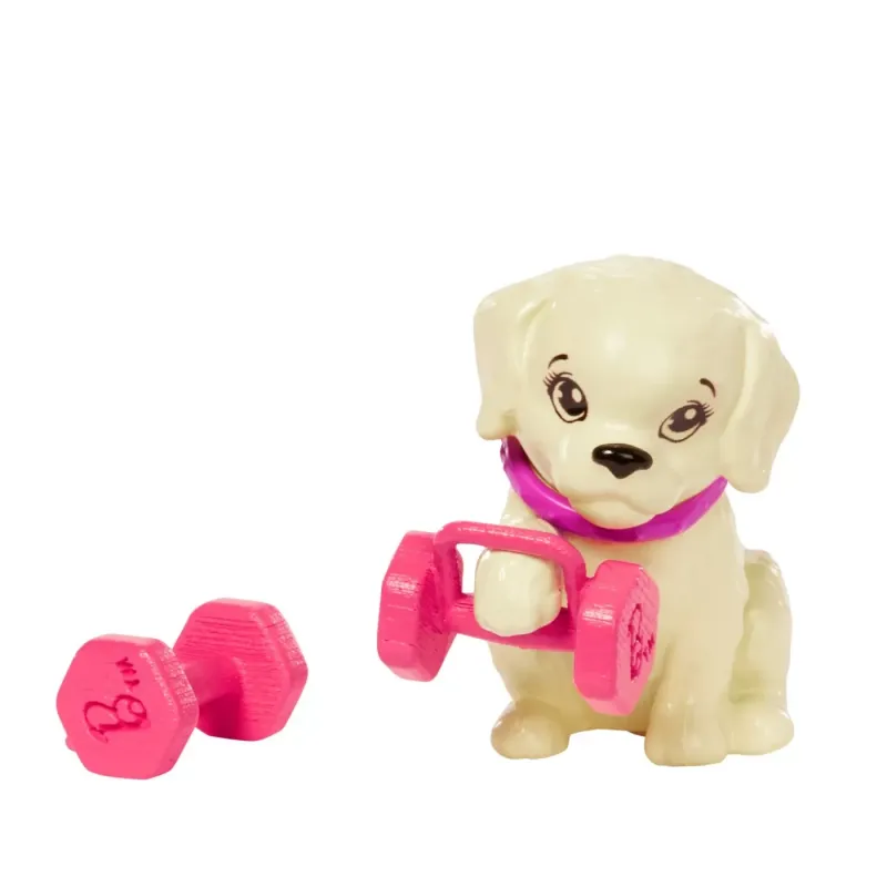BARBIE - Set de joaca cu accesorii - Păpușa Bărbie sportivă