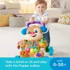 FISHER PRICE ANTEMERGATOR CĂȚELUSUL INTERACTIV IN LIMBA ROMANA