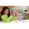 BARBIE PAPUSA BARBIE VEDETA MALIBU