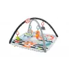 FISHER PRICE SALTEA MUZICĂLA 3 IN 1 CU CENTRU DE ACTIVITĂȚI