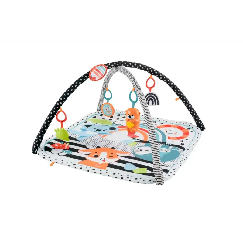 FISHER PRICE SALTEA MUZICĂLA 3 IN 1 CU CENTRU DE ACTIVITĂȚI