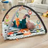FISHER PRICE SALTEA MUZICĂLA 3 IN 1 CU CENTRU DE ACTIVITĂȚI