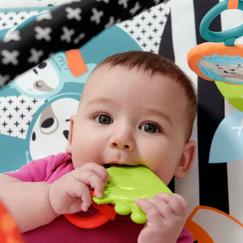 FISHER PRICE SALTEA MUZICĂLA 3 IN 1 CU CENTRU DE ACTIVITĂȚI