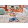 FISHER PRICE JUCĂRIE ZORNĂITOARE VIDRA