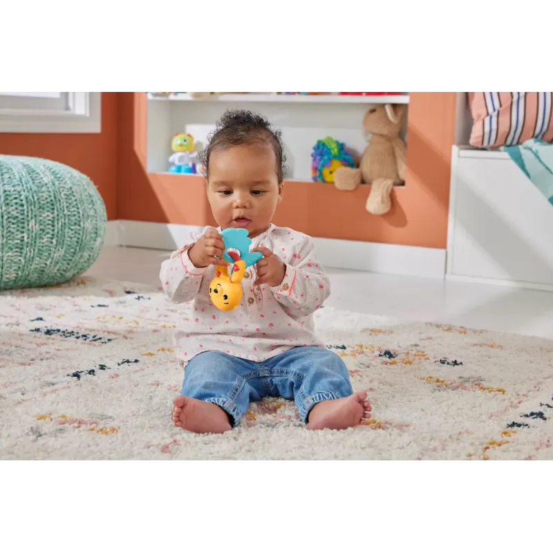 FISHER PRICE JUCĂRIE ZORNĂITOARE VIDRA
