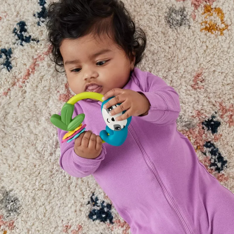 FISHER PRICE JUCĂRIE ZORNĂITOARE LENES