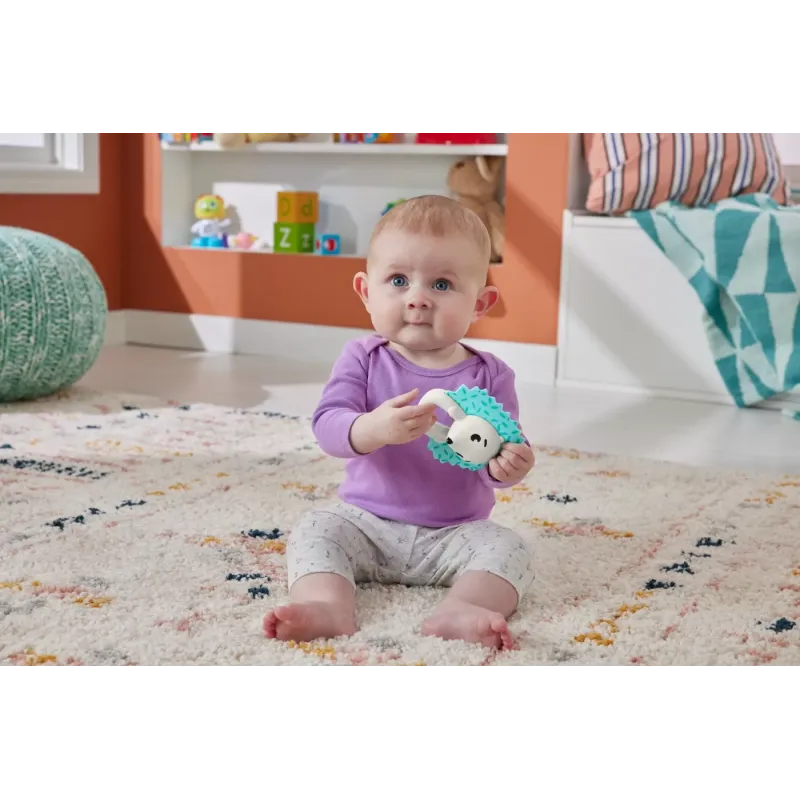 FISHER PRICE JUCĂRIE ZORNĂITOARE ARICI