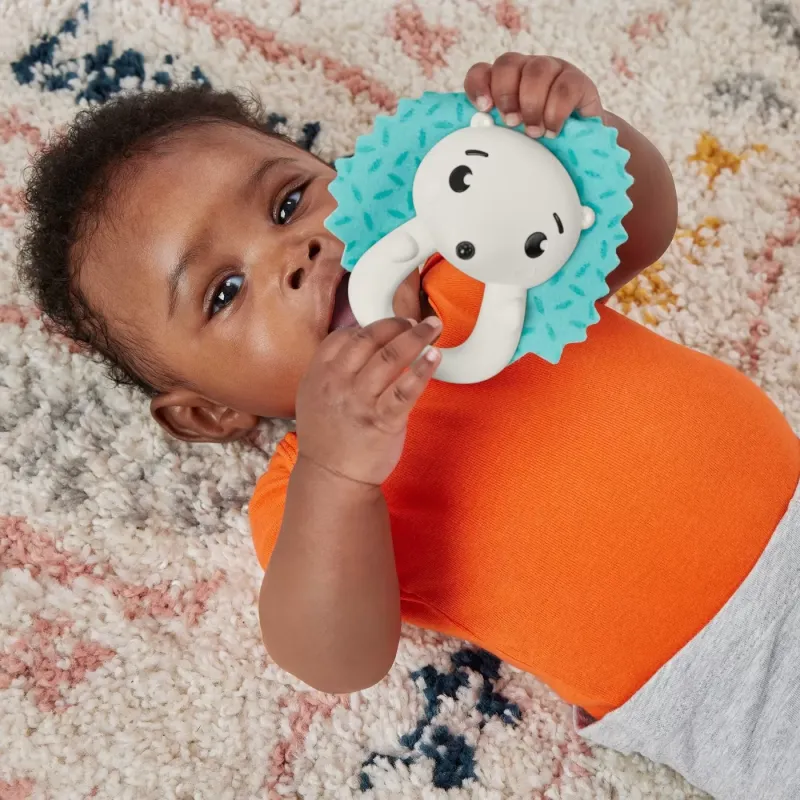 FISHER PRICE JUCĂRIE ZORNĂITOARE ARICI
