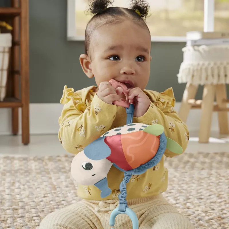 FISHER PRICE PLANET FRIENDS JUCĂRIE DE AGATAT BROSCUTA TESTOASA