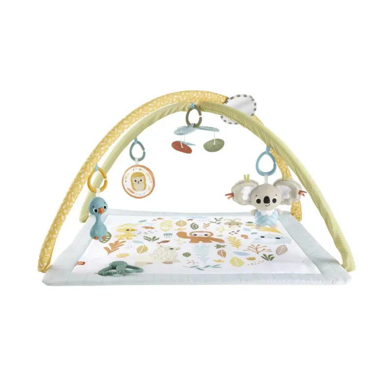 FISHER PRICE SALTELUTA DE ACTIVITĂȚI