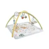 FISHER PRICE SALTELUTA DE ACTIVITĂȚI
