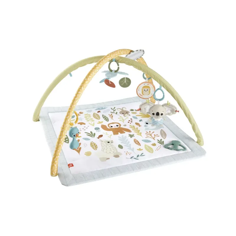 FISHER PRICE SALTELUTA DE ACTIVITĂȚI
