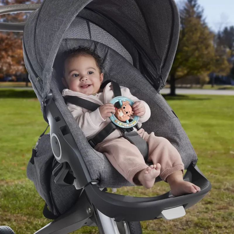 FISHER PRICE JUCĂRIE ZORNĂITOARE SALAMANDRA