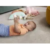 FISHER PRICE JUCĂRIE ZORNĂITOARE GASCA