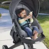 FISHER PRICE JUCĂRIE ZORNĂITOARE GASCA