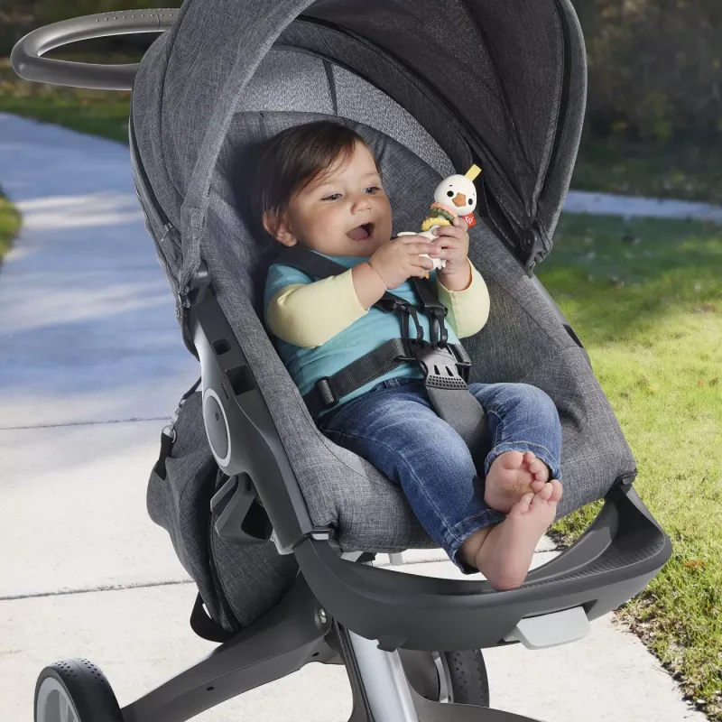FISHER PRICE JUCĂRIE ZORNĂITOARE GASCA